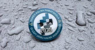 metāla nozīmīte.jpg